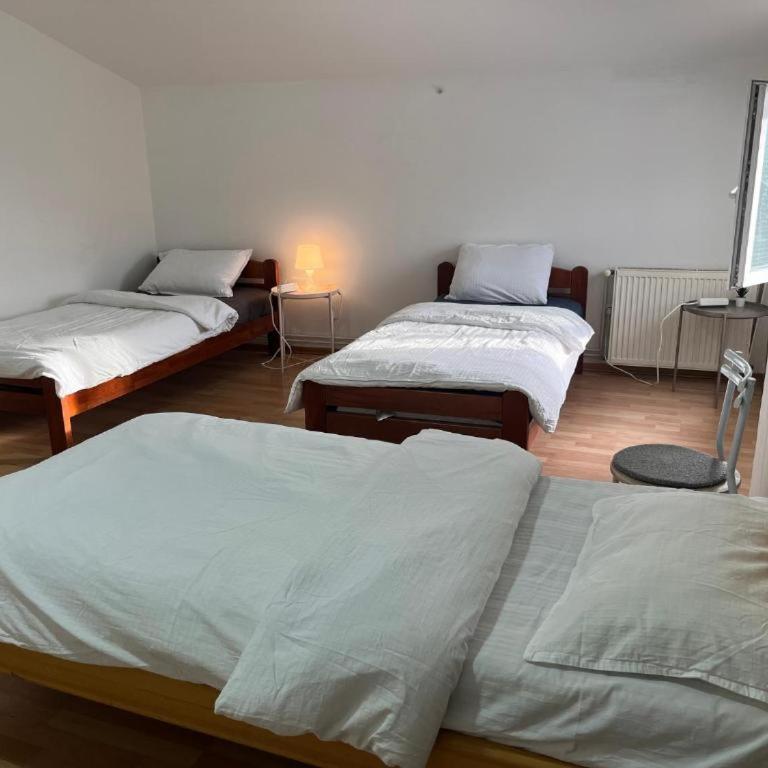 Aliyah Hostel - Bed in 4-Bed Mixed Dormitory Room - 10