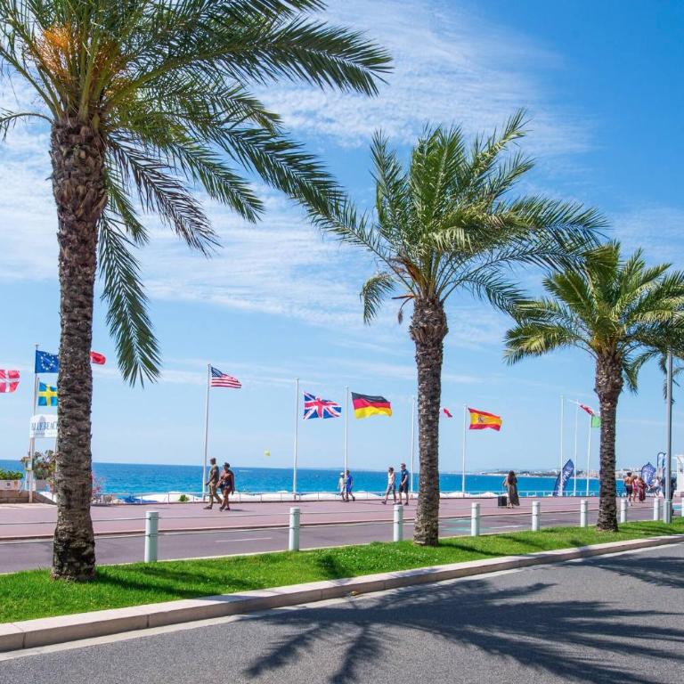 FLEUR- Cosy Studio, 200 Promenade des Anglais et Negresco, wifi, climatisation- calme - Appartement 1 Chambre - 20