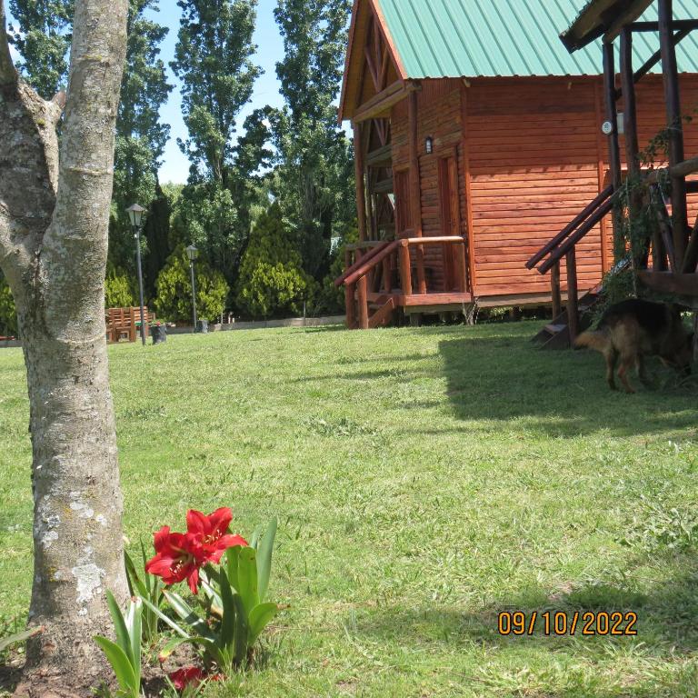 Los Alamos - Apartamento de 2 dormitorios - 1