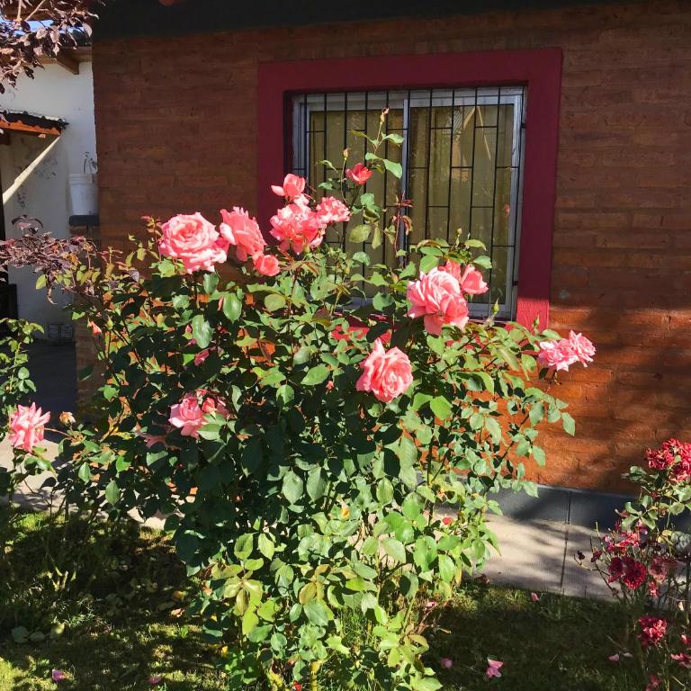 Cabañas del Volga - Chalet de 2 dormitorios - 6