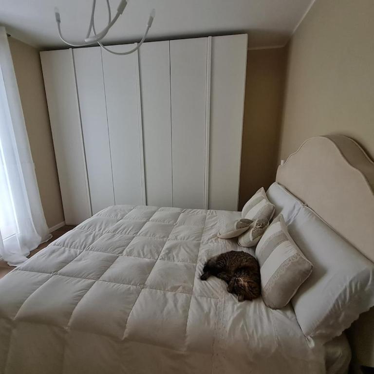 Queen apartment - Appartamento con 1 Camera da Letto - 6