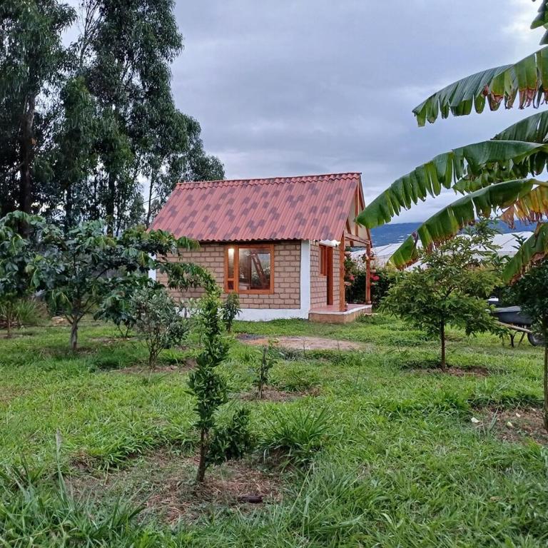 Cabaña Minimalista Villa Clarita - One-Bedroom Villa - 7