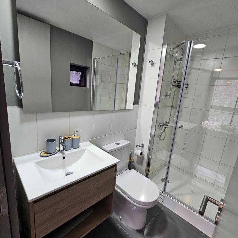 Alojamiento a pasos de Movistar Arenas, Parque O Higgins, Universidad de Chile y Ministerio de Justicia - One-Bedroom Apartment - 10