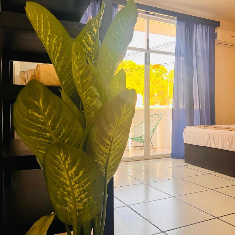 Casa Tacuba - Habitación Doble Estándar con 2 camas grandes - 21