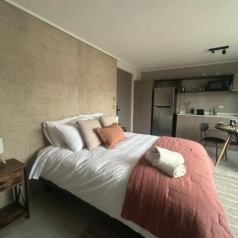 HT Estudio acogedor en Stgo 2PAX - Apartamento - 4