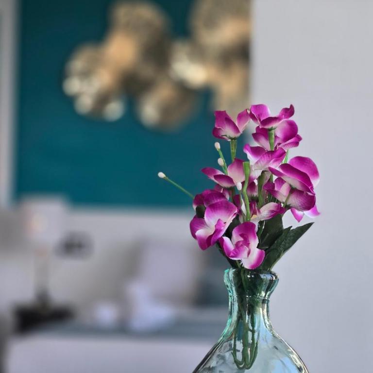 Felix Saenz Boutiques Suites by Del Parque Flats - Suite Junior con terraza - 5