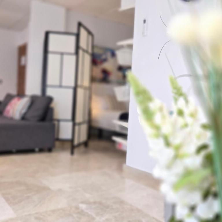 Felix Saenz Boutiques Suites by Del Parque Flats - Suite de 1 dormitorio - 4
