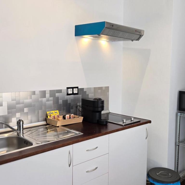 Felix Saenz Boutiques Suites by Del Parque Flats - Suite de 1 dormitorio - 5
