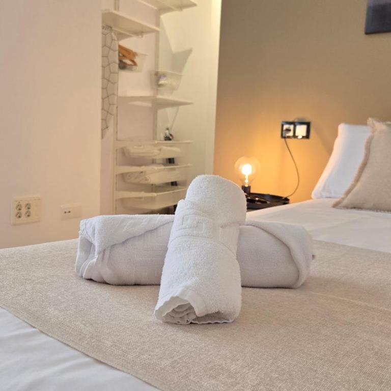 Felix Saenz Boutiques Suites by Del Parque Flats - Suite con terraza - 8