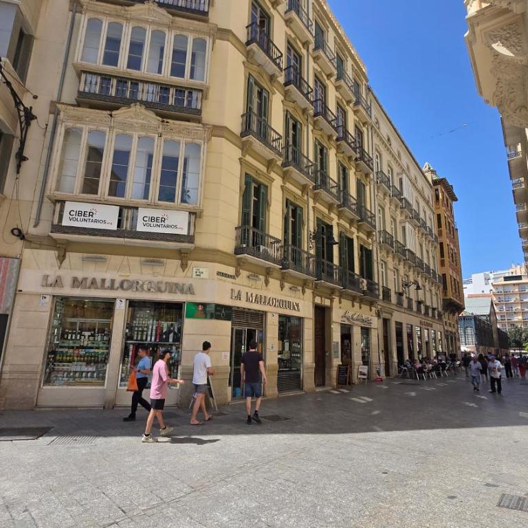 Felix Saenz Boutiques Suites by Del Parque Flats - Suite Junior con terraza - 19