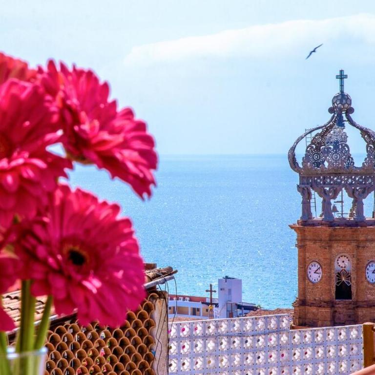 Condominium in the heart of PV 301 - One-Bedroom Apartment - 3