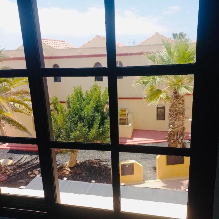 Oasis del sol 21 C - Apartamento de 1 dormitorio - 20