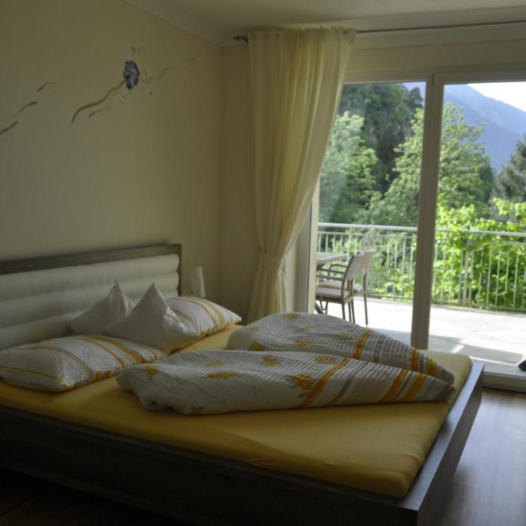Ferienwohnungen Niederhof - Apartamento de 2 dormitorios con vistas a la montaña - 2