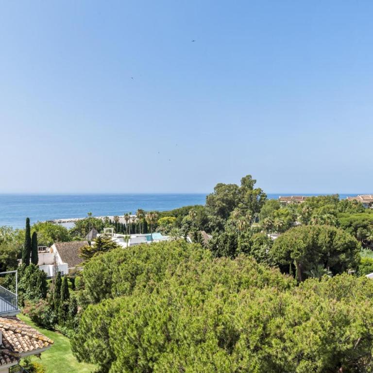 Andalucia del Mar 14 61 - Apartamento - 39