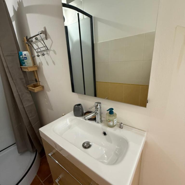 Le Mas-Roc - Apartamento de 1 dormitorio - 21
