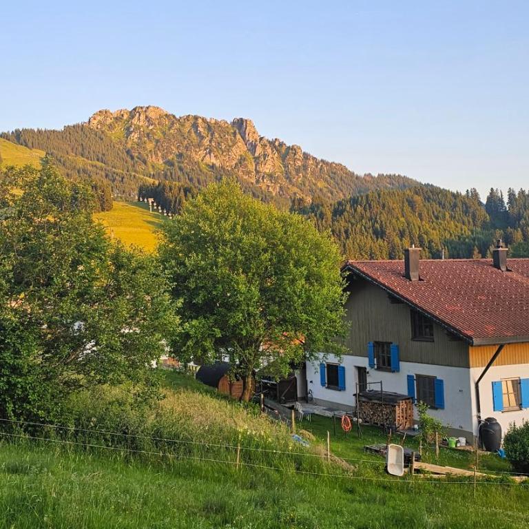 Jungholz Erlebnis - Apartment mit Terrasse - 1