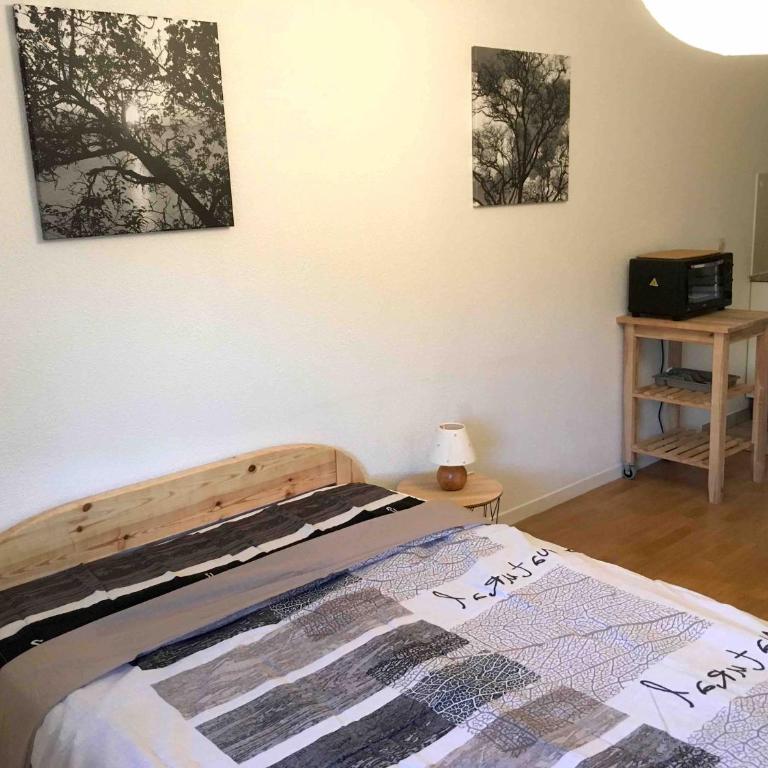 Studio ARBOLES - One-Bedroom Apartment - 3