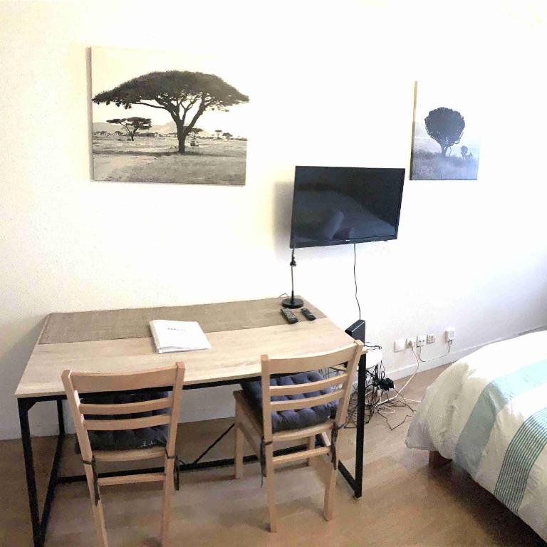 Studio ARBOLES - One-Bedroom Apartment - 4