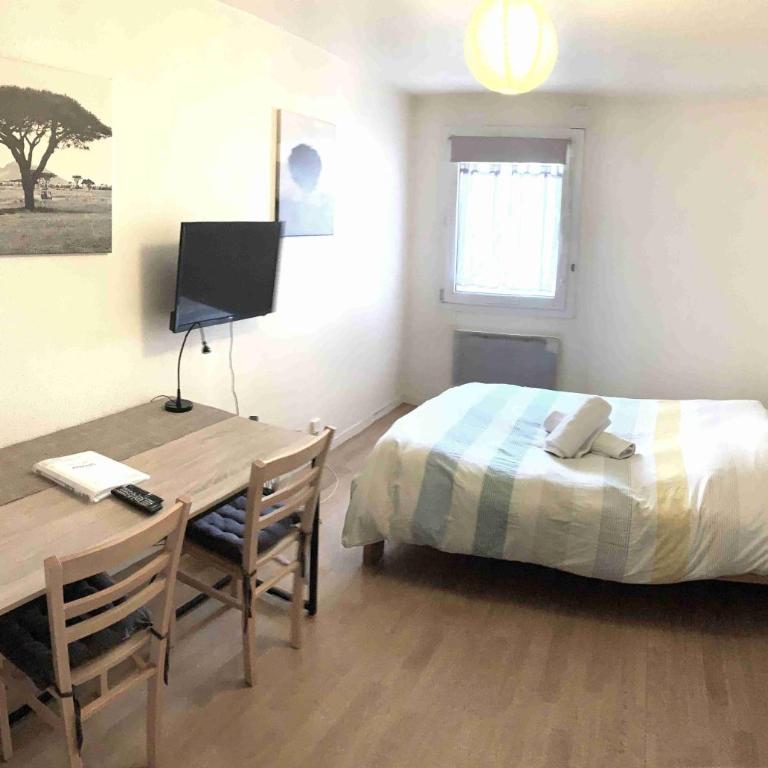 Studio ARBOLES - One-Bedroom Apartment - 1