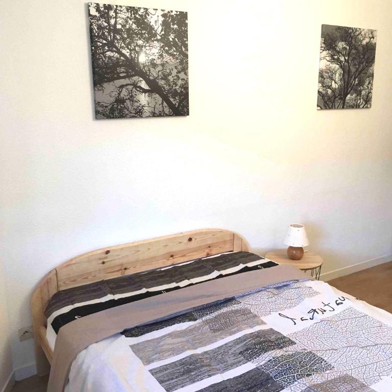 Studio ARBOLES - One-Bedroom Apartment - 2
