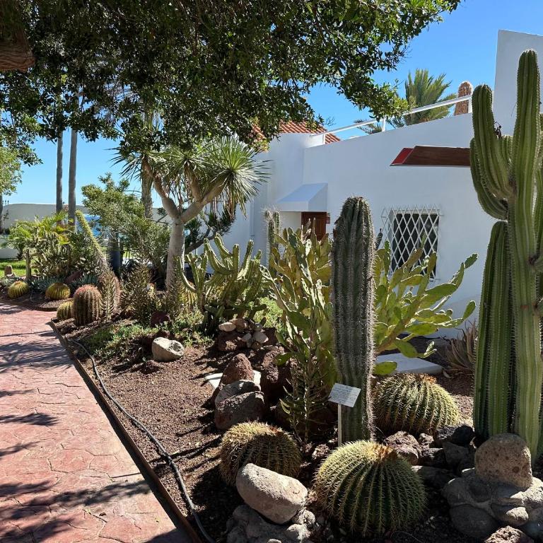 Sierra del Mar - Bungalow de 3 dormitorios - 41