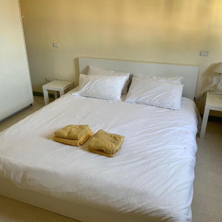 Elegant apartment in Pietrasanta - Appartamento con 2 Camere da Letto - 16