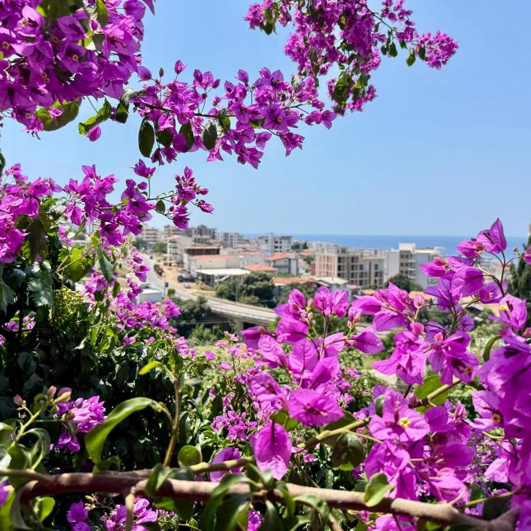Dobra Voda Cozy Sea View - Three-Bedroom Apartment - 7