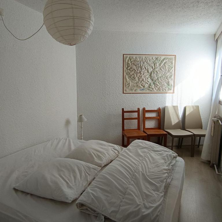 Appartement spacieux 8 pers, animaux acceptés, proche pistes - FR-1-445-16 - Appartamento (8 Adulti) - 5