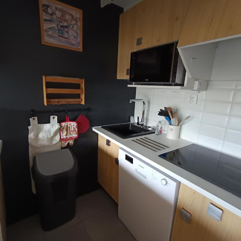 Grand appart spacieux 7 pers proche pistes, animaux admis - FR-1-445-2 - Appartement (6 Adultes) - 6