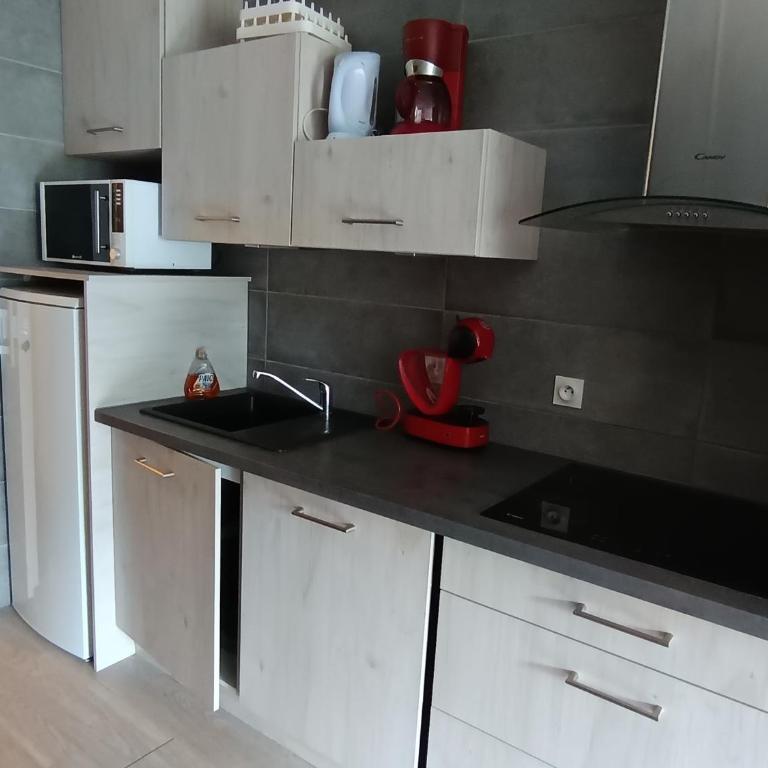 Studio sud à Montgenèvre, animaux admis, proche pistes - FR-1-445-26 - Estudio - 7