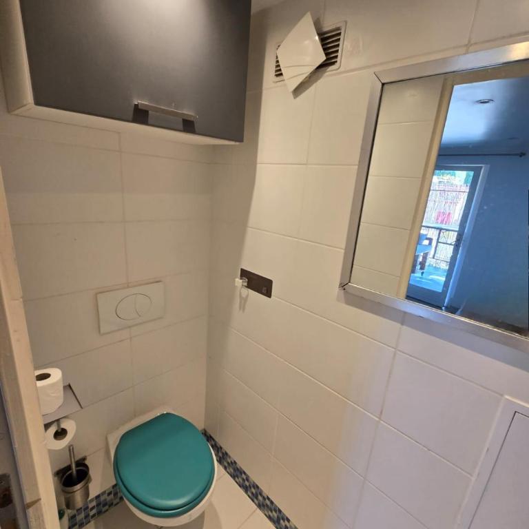 St PIERRE - Petit Mas et Son Cocon des Amis - Casa con 1 dormitorio - 9