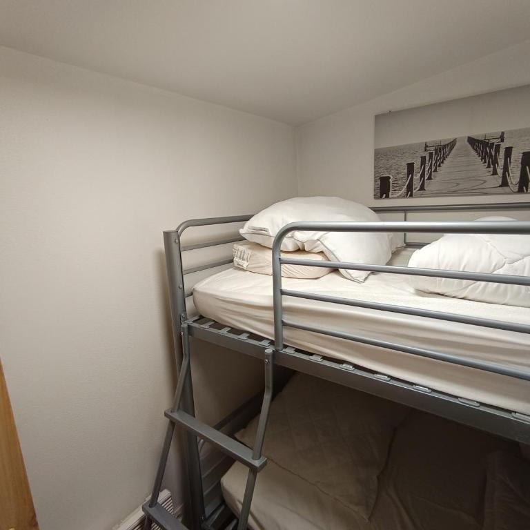 Studio cosy 3 pers, animaux admis, front de neige - FR-1-445-137 - Monolocale - 14