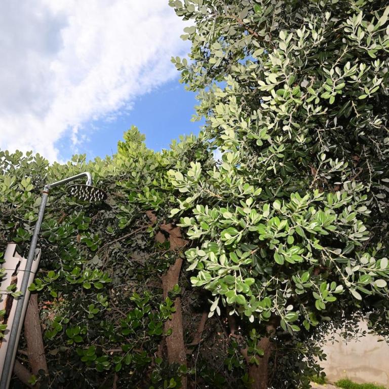 AmareSardegna12 con vista mare - Casa con 2 Camere da Letto - 21