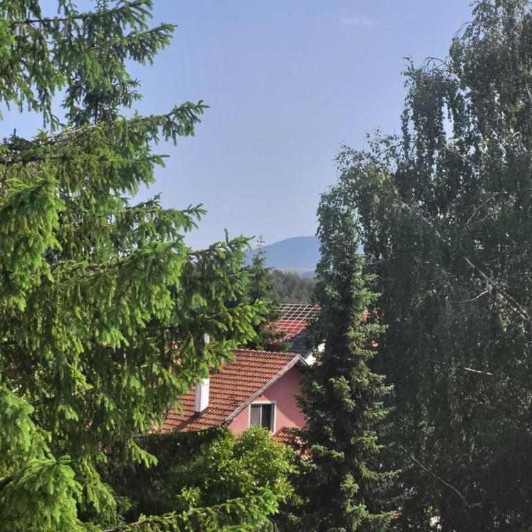 Apartman Stašenka - Apartman - 10