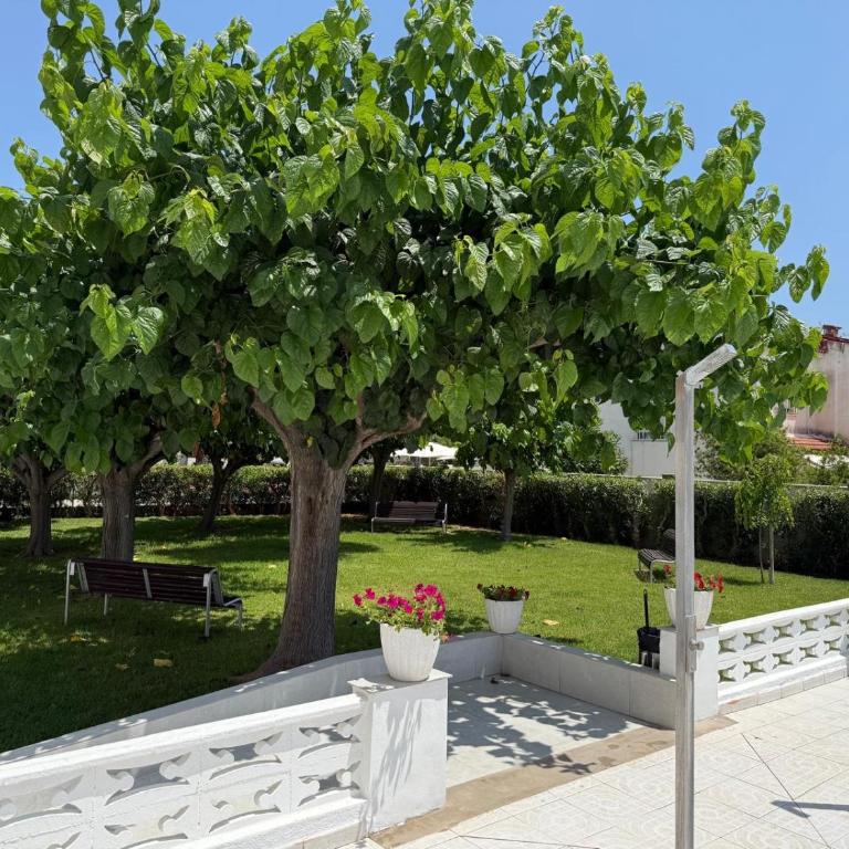 Sol Playa Mar Apartment - Apartamento de 1 dormitorio - 57