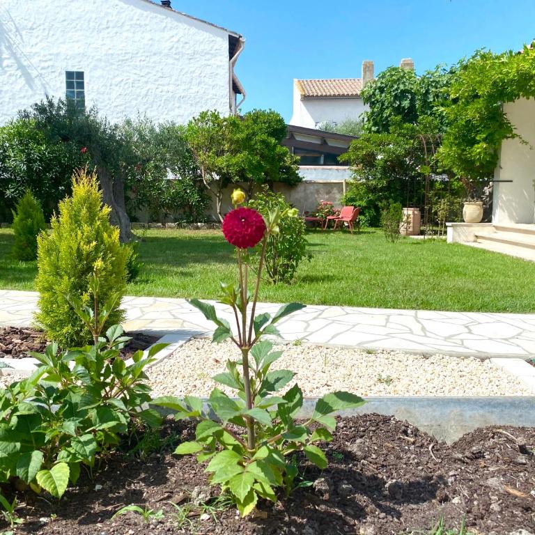 Le chêne vert - Villa 2 Chambres - 28
