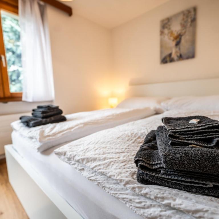 Mountain Home with stunning view - by Inspiring Places Zermatt - Apartment mit 1 Schlafzimmer - 8