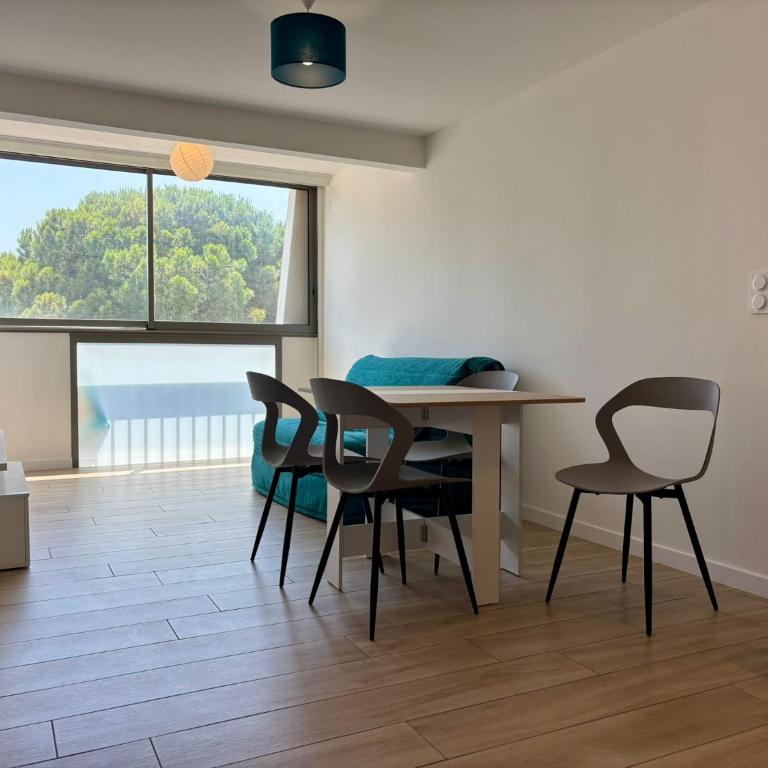 Appartement les pieds dans l'eau Saint Cyprien - One-Bedroom Apartment - 1