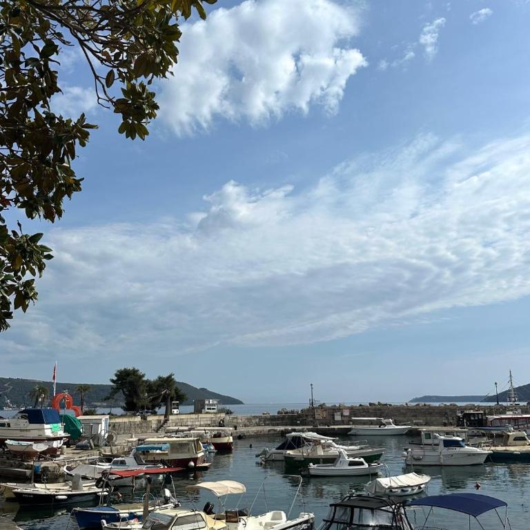 Seas the Day Studio - Apartman sa 1 Spavaćom Sobom - 29