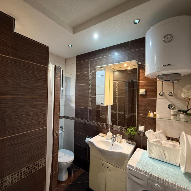Grand Apartments Scepanovic - Apartman s 1 Spavaćom Sobom, Terasom i Pogledom na Vrt - 10