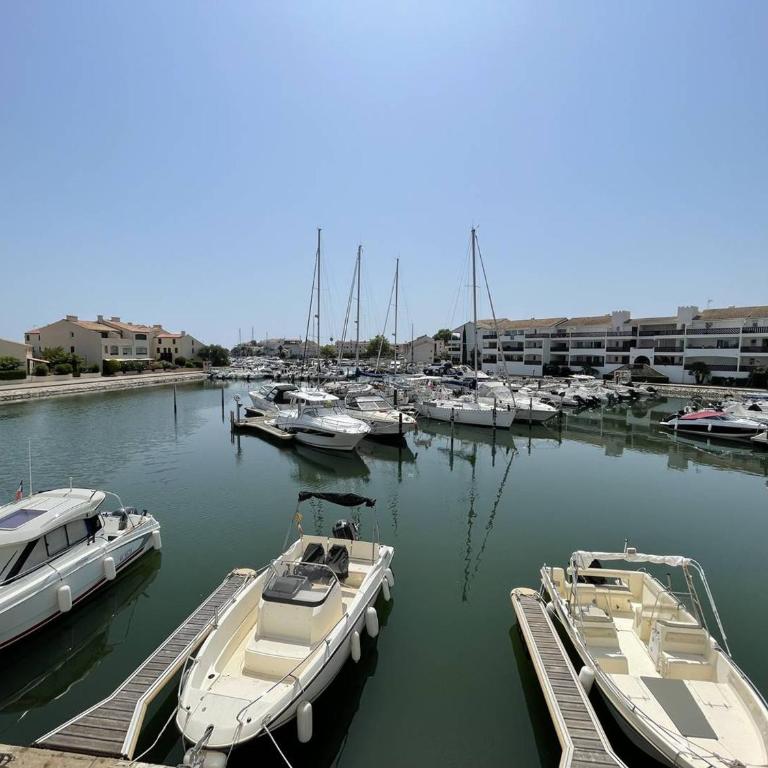 T2 rénové avec cabine, piscine, animaux admis, parking à 500m de la plage - FR-1-106-49 - Apartamento - 3