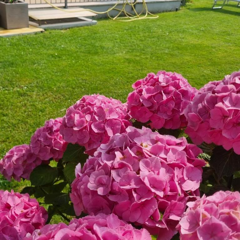 Appartamenti per Vacanze "Villa Elvi" - Appartamento con 2 Camere da Letto - 27