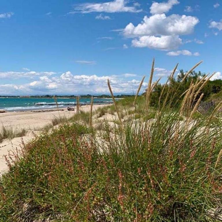 Studio Agde 5 min from the sea - Appartement 2 Chambres - 38