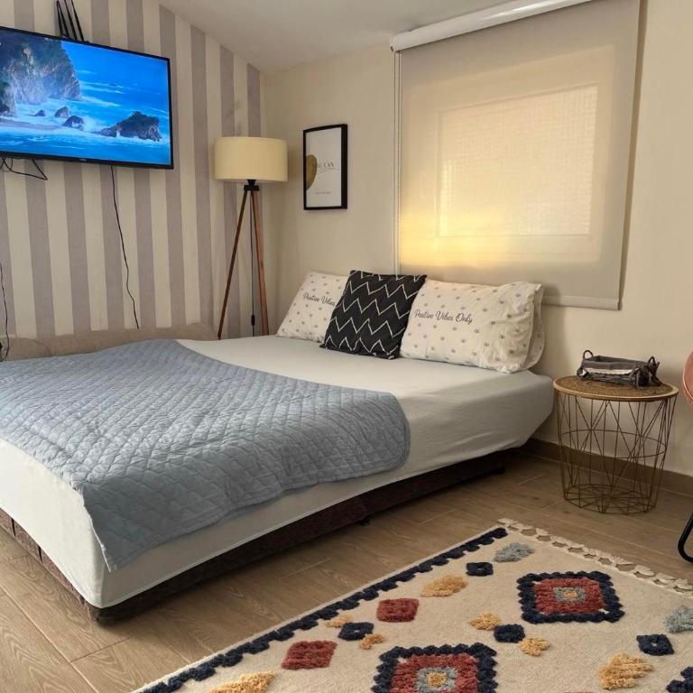 Apartment Quince - Studio sa Balkonom (4+1) - 11