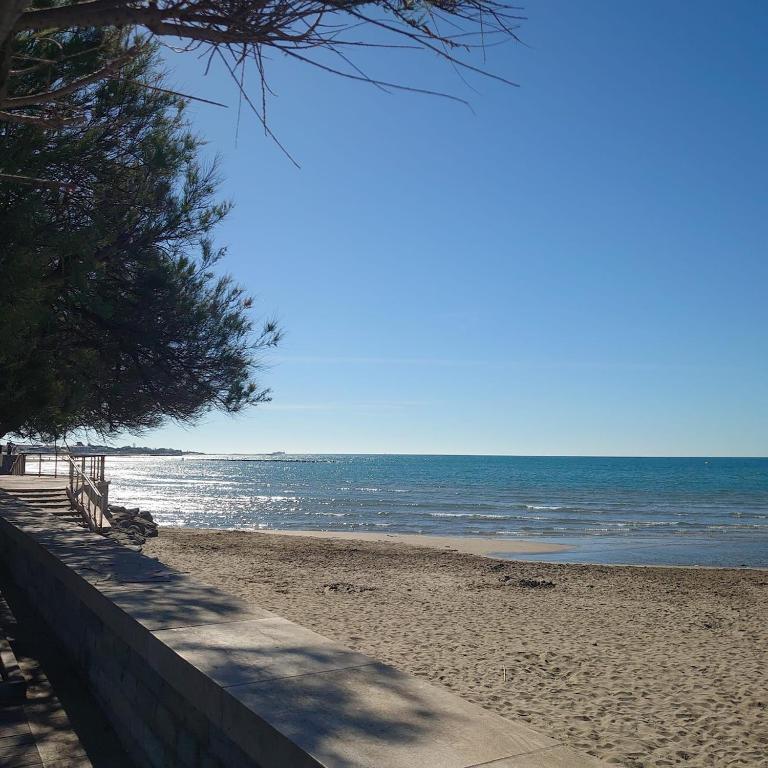 Studio Agde 5 min from the sea - Appartement 2 Chambres - 43