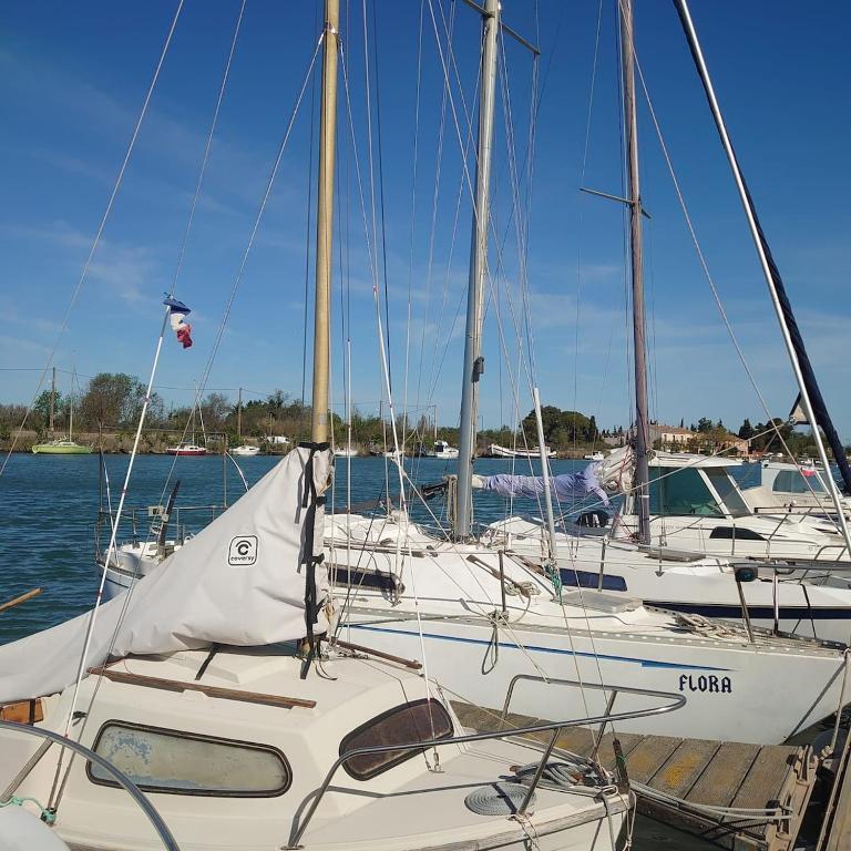 Studio Agde 5 min from the sea - Appartement 2 Chambres - 36