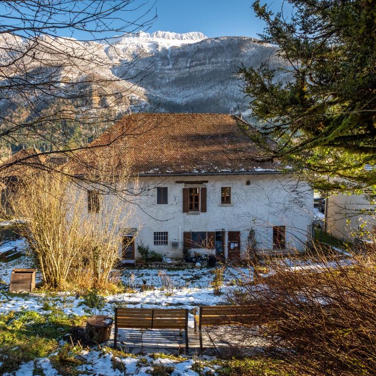 Deux appartements - Gîte aux 1000 chemins - Appartement - 1