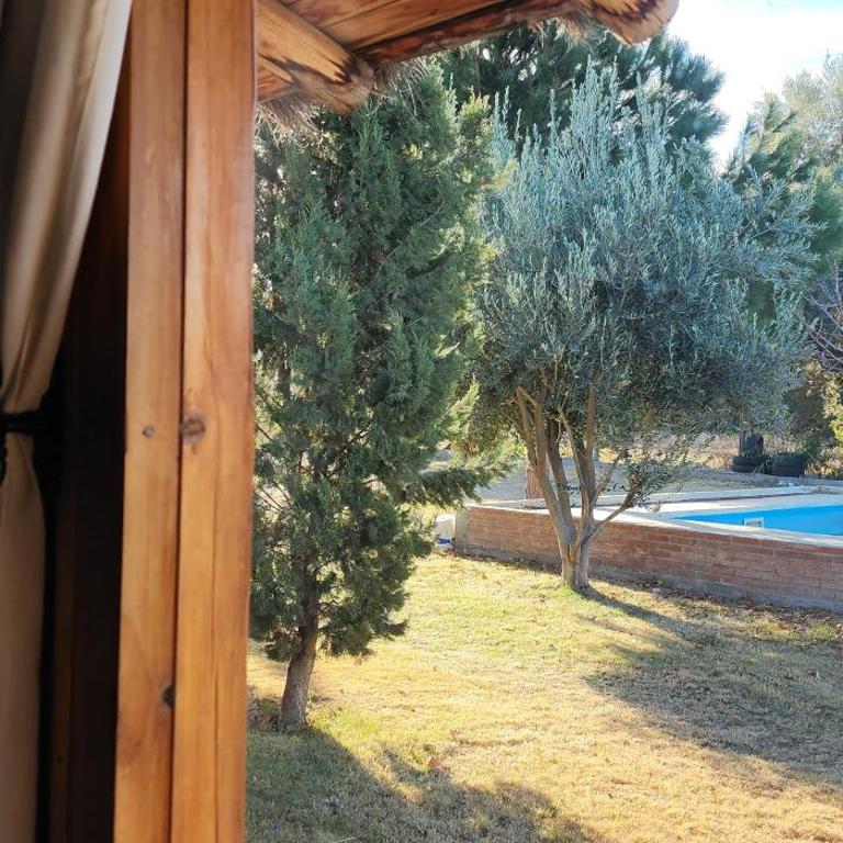 Serena Cumbre Lodge - One-Bedroom Apartment - 4