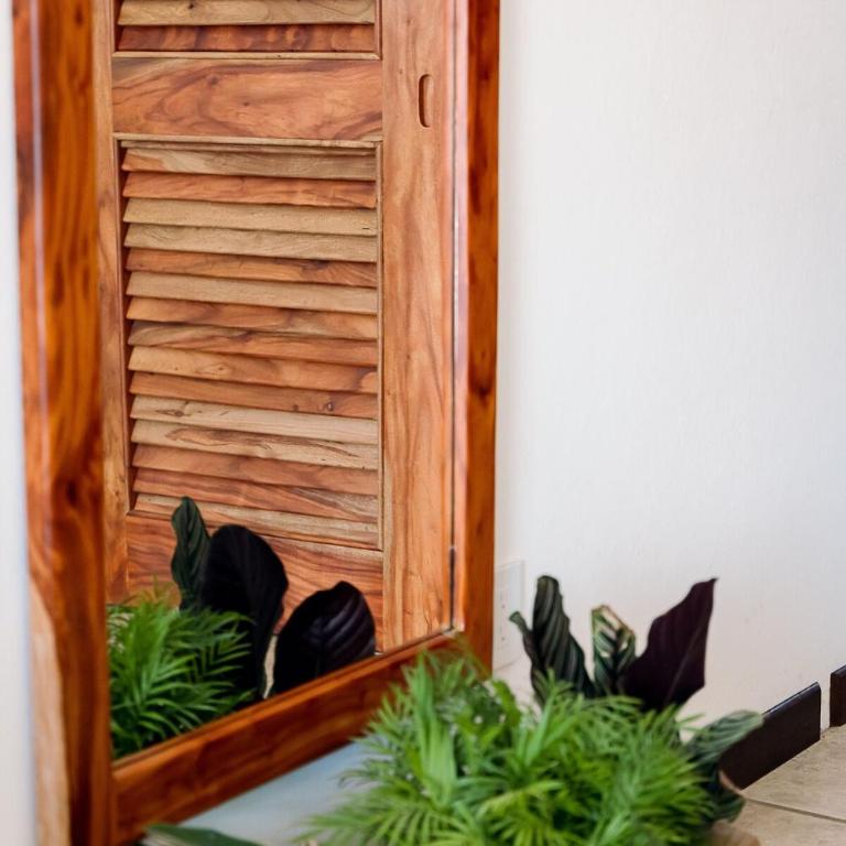 Casa Hibiscus Zaachila 2 A - Apartamento de 1 dormitorio - 54