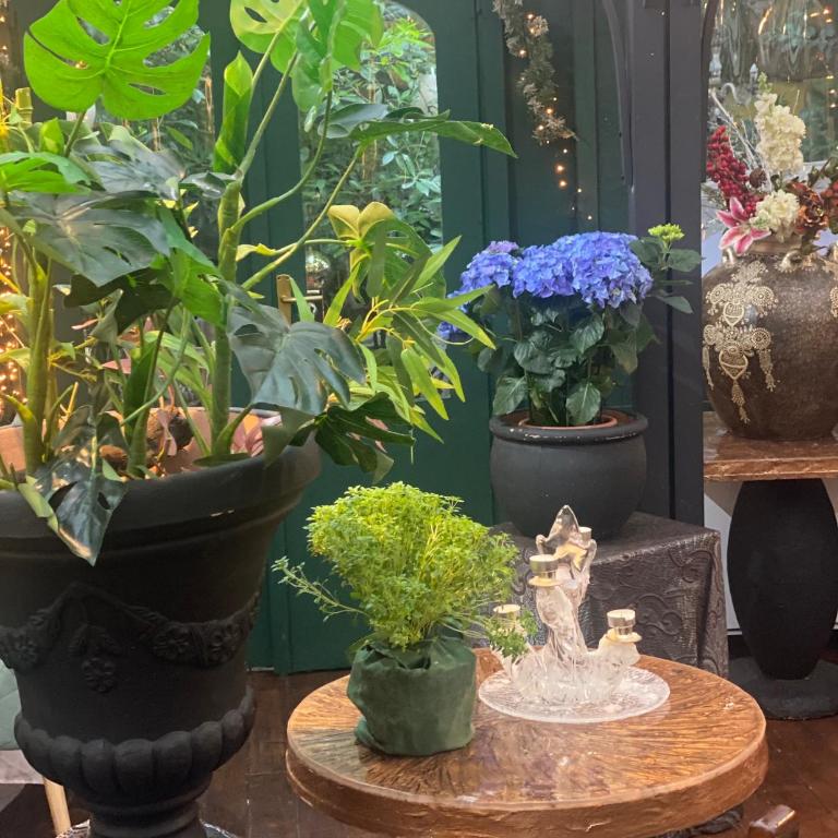 Como bella vista - Appartamento con 2 Camere da Letto - 10